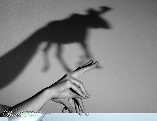 1115 30 Examples Of Shadow Photography Taken at Perfect Time