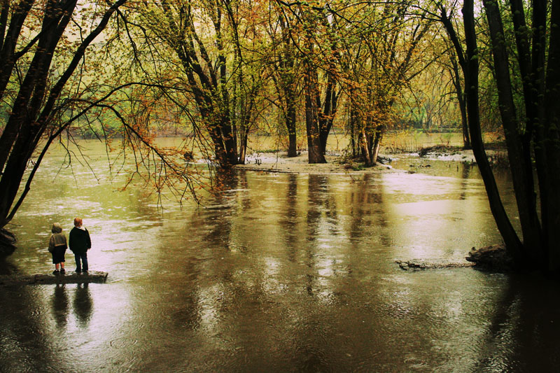 high_river_by_FigoTheCat