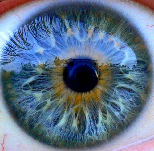 20 Beautiful Examples Of Macro Eye Photography