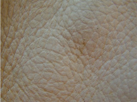 Leather Textures