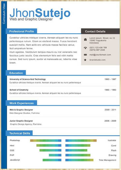 Professional One Page Resume