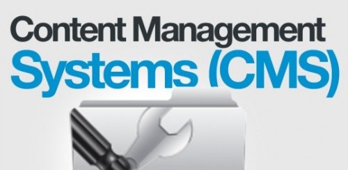 Content Management Systems (CMS)